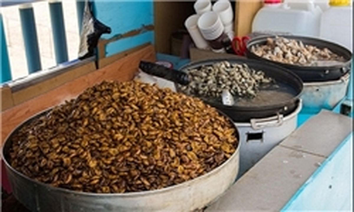 عجیب‌ترین غذاهای مختلف دنیا +تصاویر