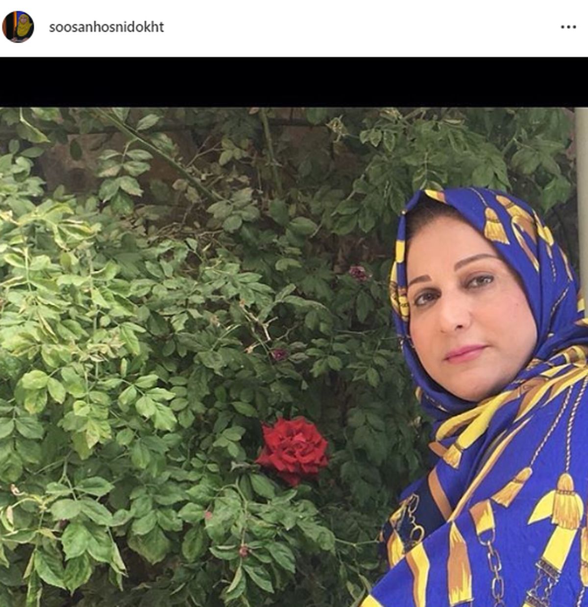 الگو زندگی خانم مجری+عکس