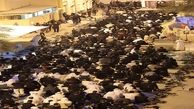 ادامۀ تحصن مقابل منزل آیت الله عیسی قاسم +تصاویر