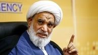  شورای نگهبان استعماری بودن FATF را لحاظ کند