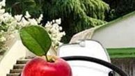 راه‌اندازی دهکده‌های سلامت و پردیس خوراکی‌های اسلامی در پایتخت
