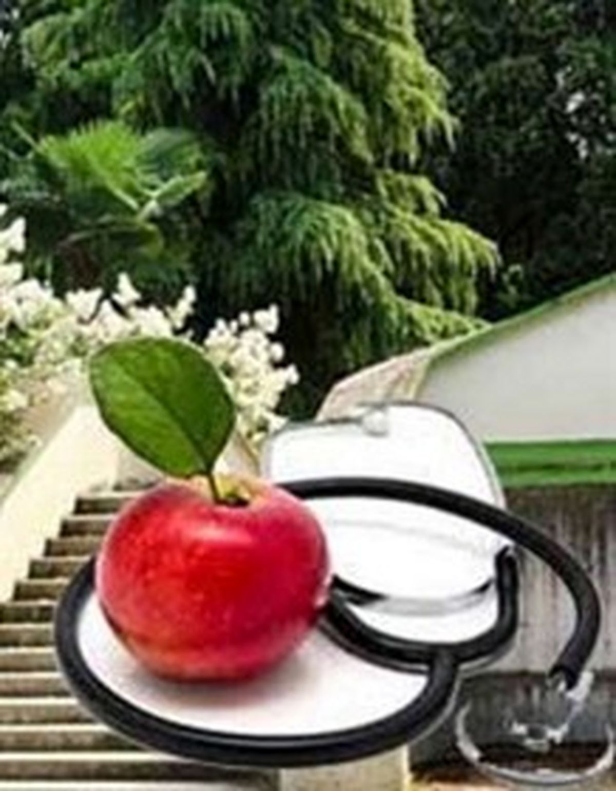 راه‌اندازی دهکده‌های سلامت و پردیس خوراکی‌های اسلامی در پایتخت