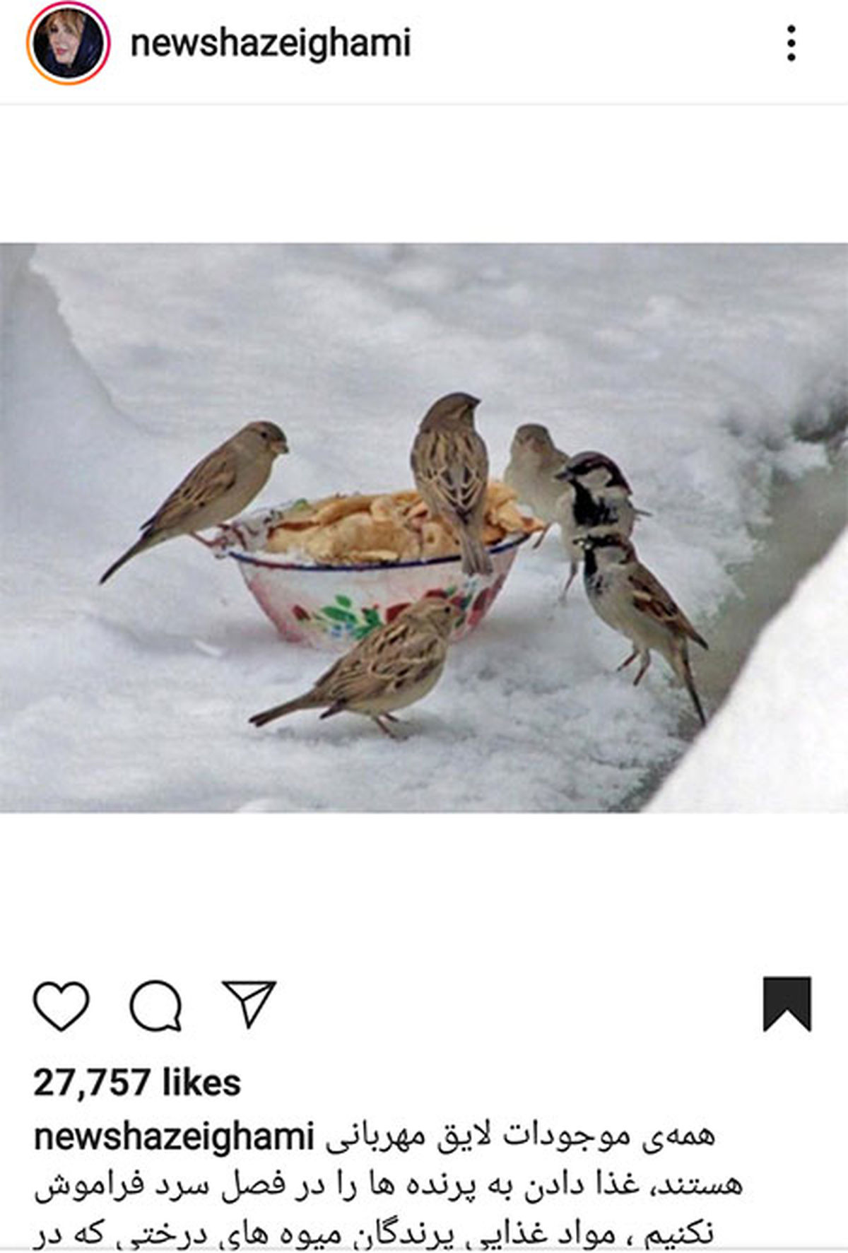 غذا دادن نیوشا ضیغمی به پرندگان در یک روز برفی