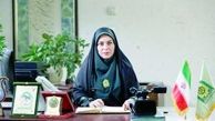 «دختر گمشده» به جای «حوالی پاییز» مهمان خانه هایتان
