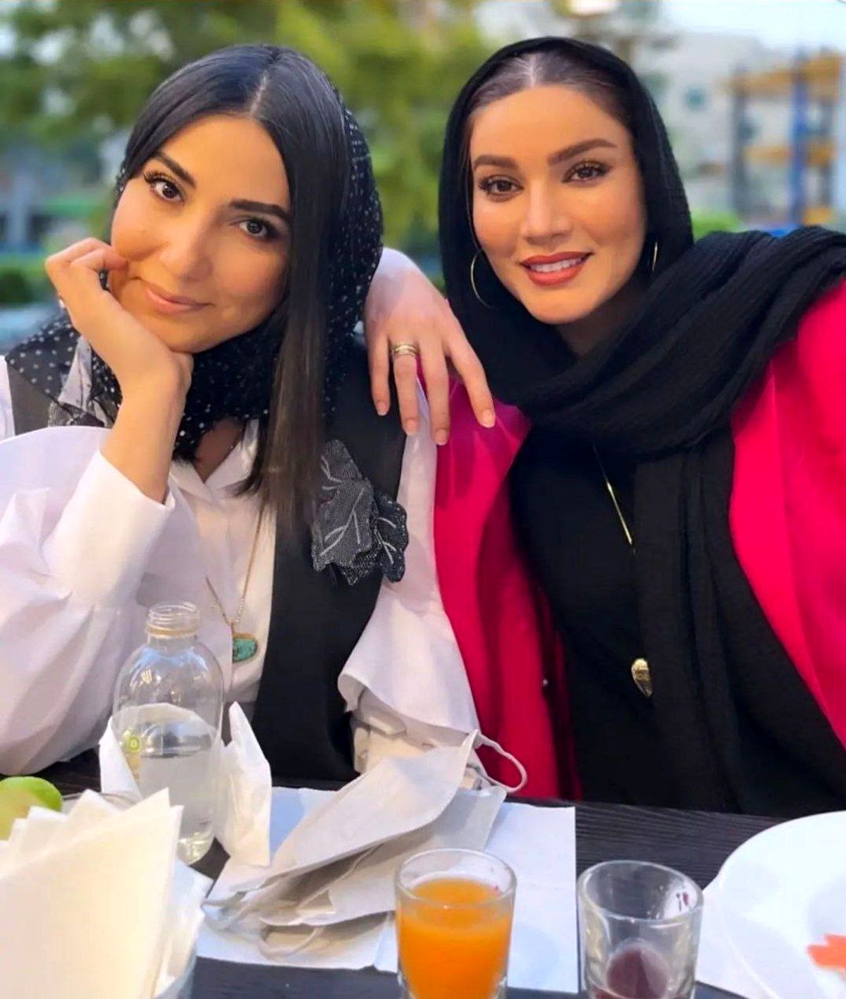 متین ستوده در کنار رفیق صمیمی اش!