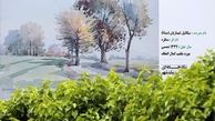 ماجرای هزینه میلیاردی تابلوهای تبلیغاتی شهرداری/ نحوه انتخاب آثار تابلوهای تبلیغاتی