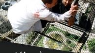ابوالفضل پورعرب در رقص شیطان