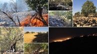 دستگیری عوامل حریق مراتع کوهدشت لرستان