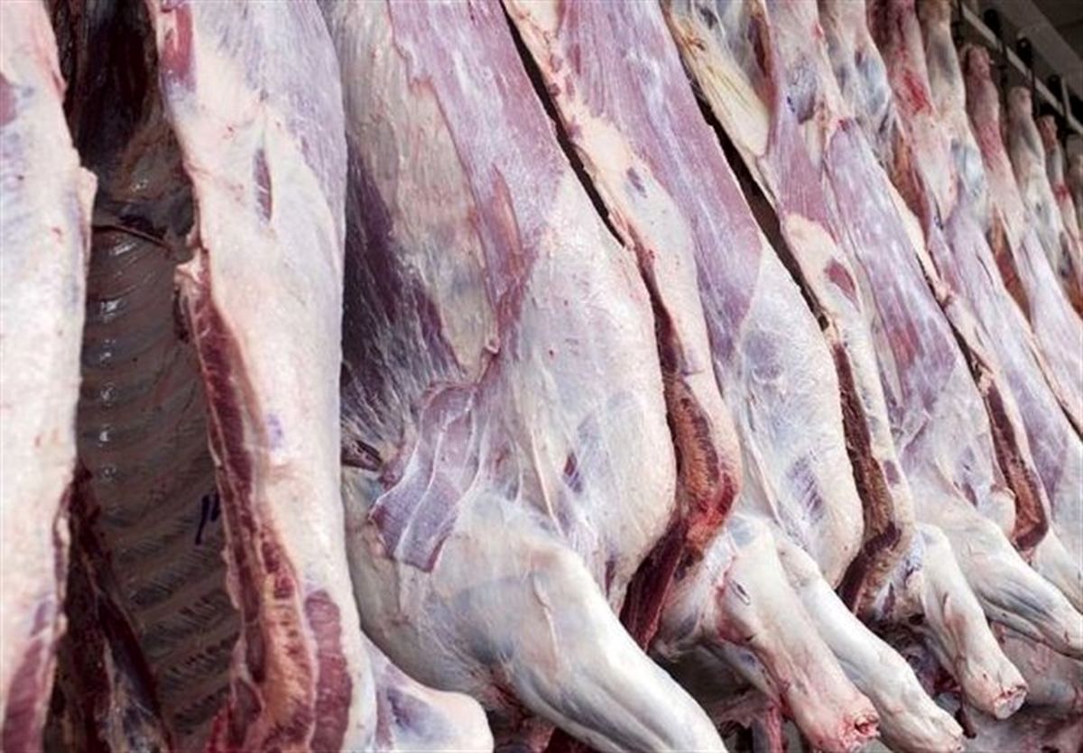 ورود گوشت منجمند به بازارهمدان قیمت را تعدیل می‌کند