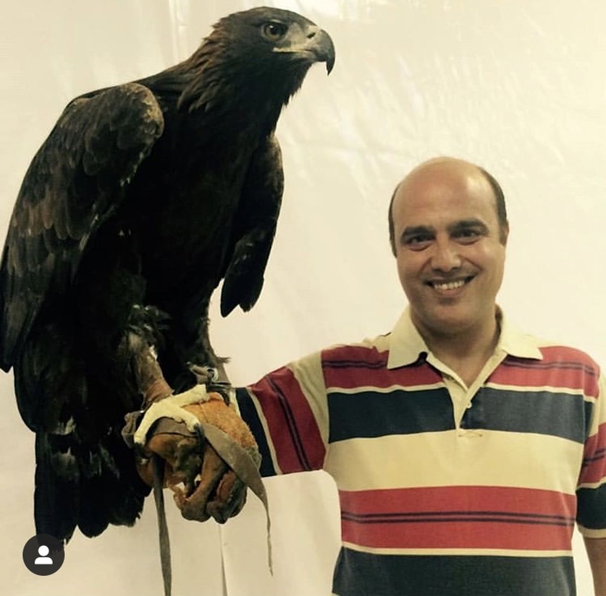 عقاب عظیم الجثه سعید داخ + عکس
