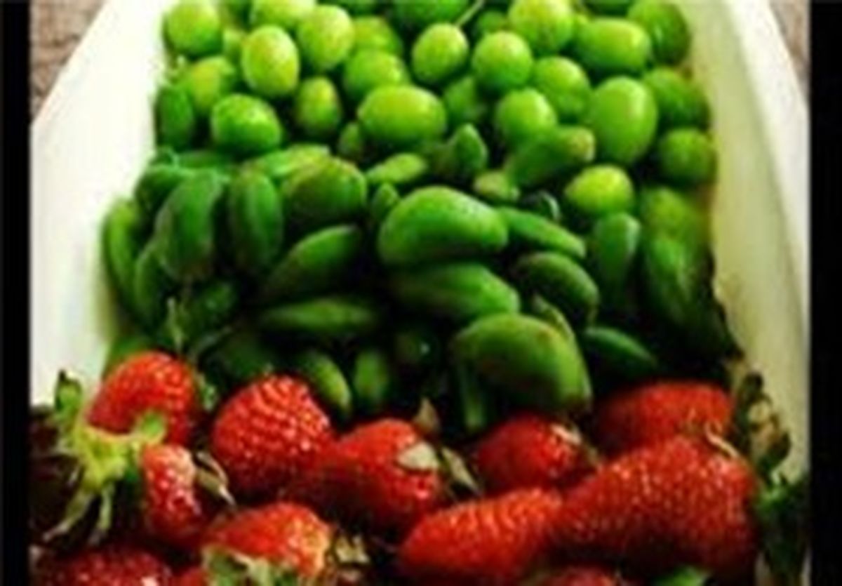 گوجه‌سبز گران‌ترین نوبرانه/ قیمت انواع میوه و تره‌بار