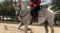 اسب سواری شراره رخام + عکس