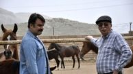سریال «نزدیکی‌های بهشت» از شنبه شبکه یک پخش می‌شود