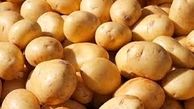سود ۱۰ هزار تومانی خارجی‌ها از هر کیلو سیب‌زمینی ایرانی!