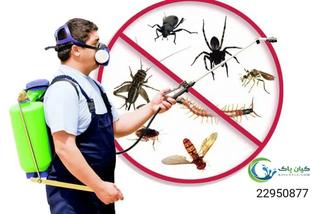 سمپاشی ساختمان