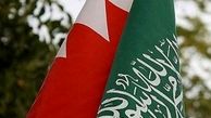 عربستان در نظر دارد با ایجاد کانالی، قطر را به یک جزیره تبدیل کند