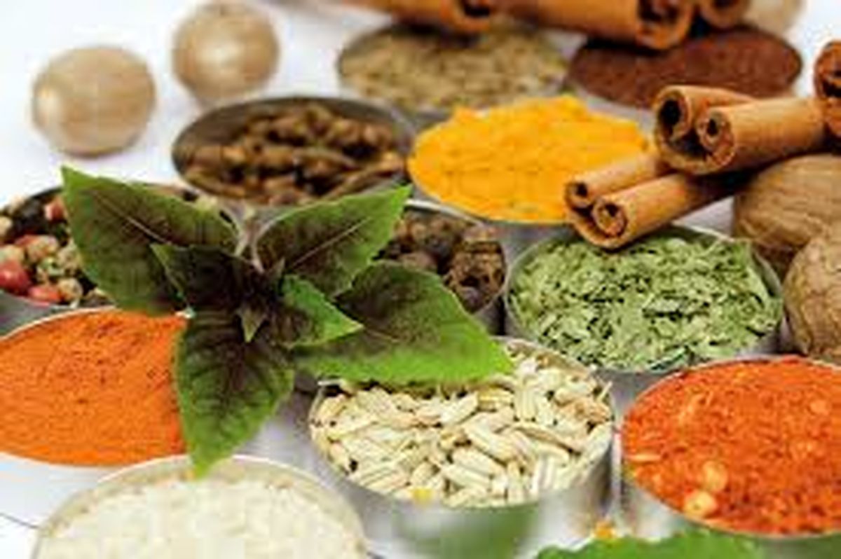 طب سنتی و گیاهان دارویی برند گردشگری نطنز شد