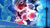  جشنواره ملی علوم و فناوریهای سلولهای بنیادی برگزار می‌شود 