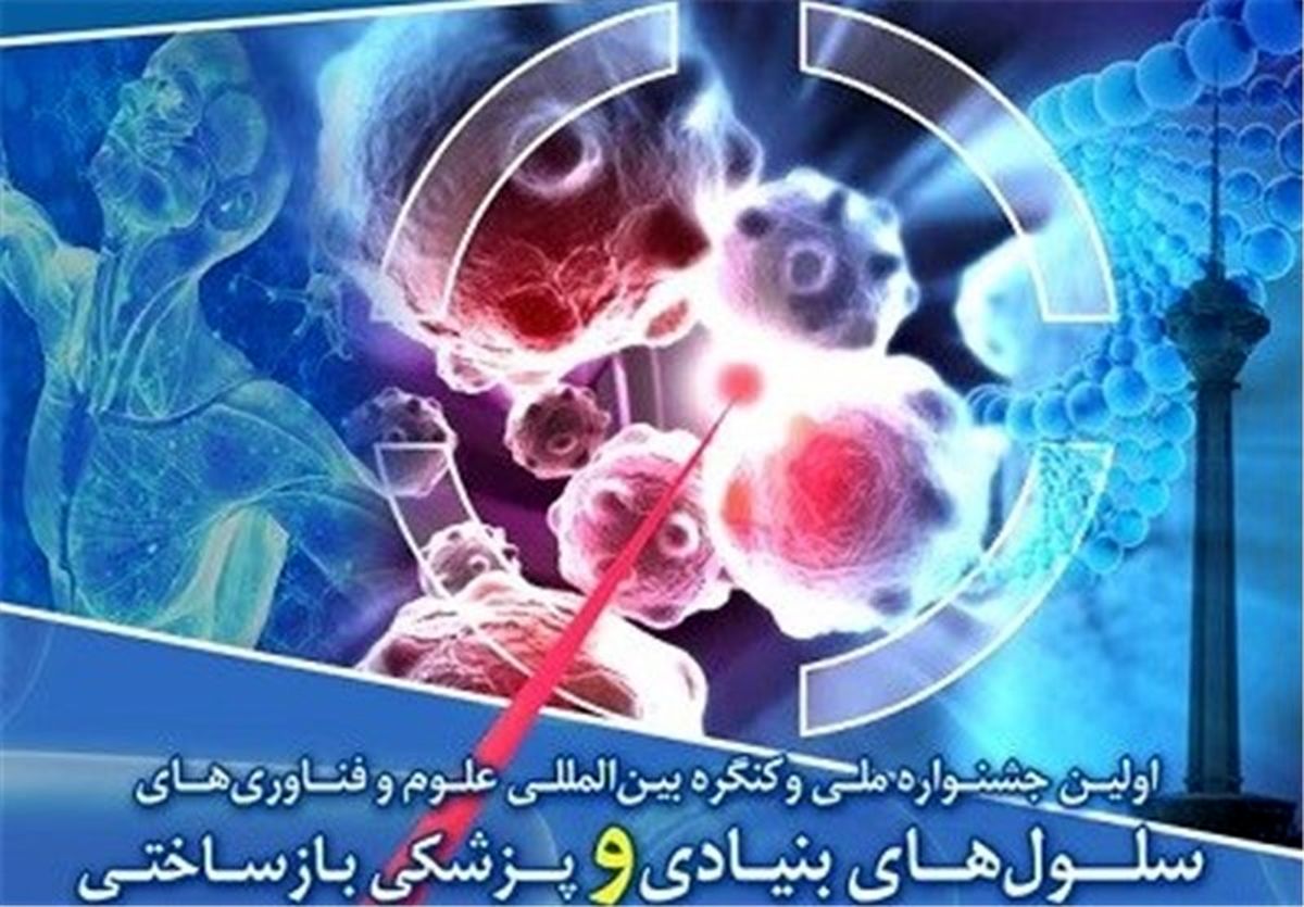  جشنواره ملی علوم و فناوریهای سلولهای بنیادی برگزار می‌شود 