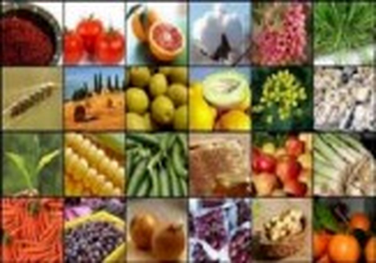 در مواقع آلودگی هوا حتما این خوراکی ها را مصرف کنید