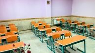 تعطیلی مدارس به‌ دلیل شیوع شپش سر ؛ شایعه یا واقعیت ؟!