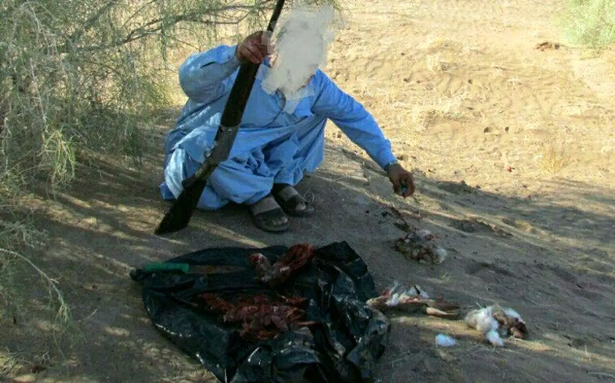 شکارچیان متخلف در مه ولات دستگیر شدند