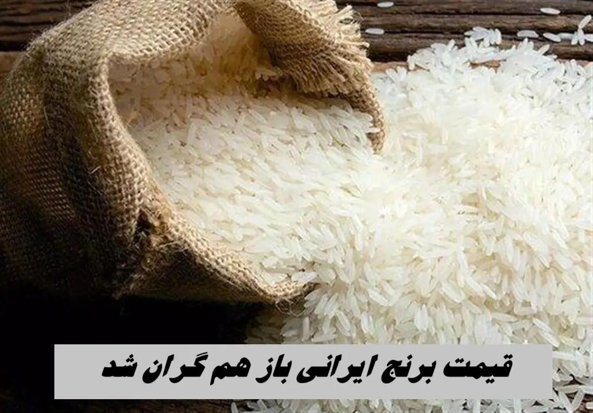 قیمت برنج ایرانی باز هم گران شد | برنج دم سیاه گیلان رکورددار
