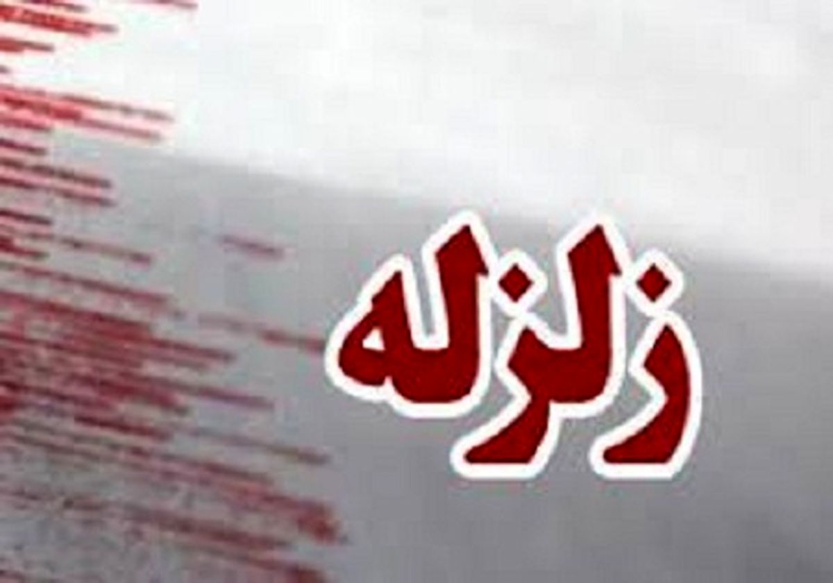 در پی زلزله شب گذشته یاسوج 30 نفر مصدوم شدند