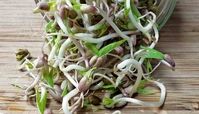 خواص جوانه ماش برای سلامتی ، پوست و مو که شما را شگفت زده می کند !