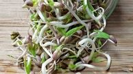 خواص جوانه ماش برای سلامتی ، پوست و مو که شما را شگفت زده می کند !