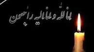 پیکر خبرنگار جوان موسیقی تشییع شد 