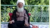 تکلیفی احساس نکرده اند/ سکوت معنادار آیت الله وحید خراسانی در مقابل تحولات فرهنگی
