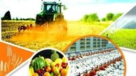 کاهش تولید محصولات غذایی کشور از 14 میلیون تن به 10 میلیون