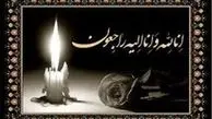 داور بین‌المللی کشتی درگذشت