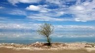تمام تالاب‌های مهم ایران خشک شدند