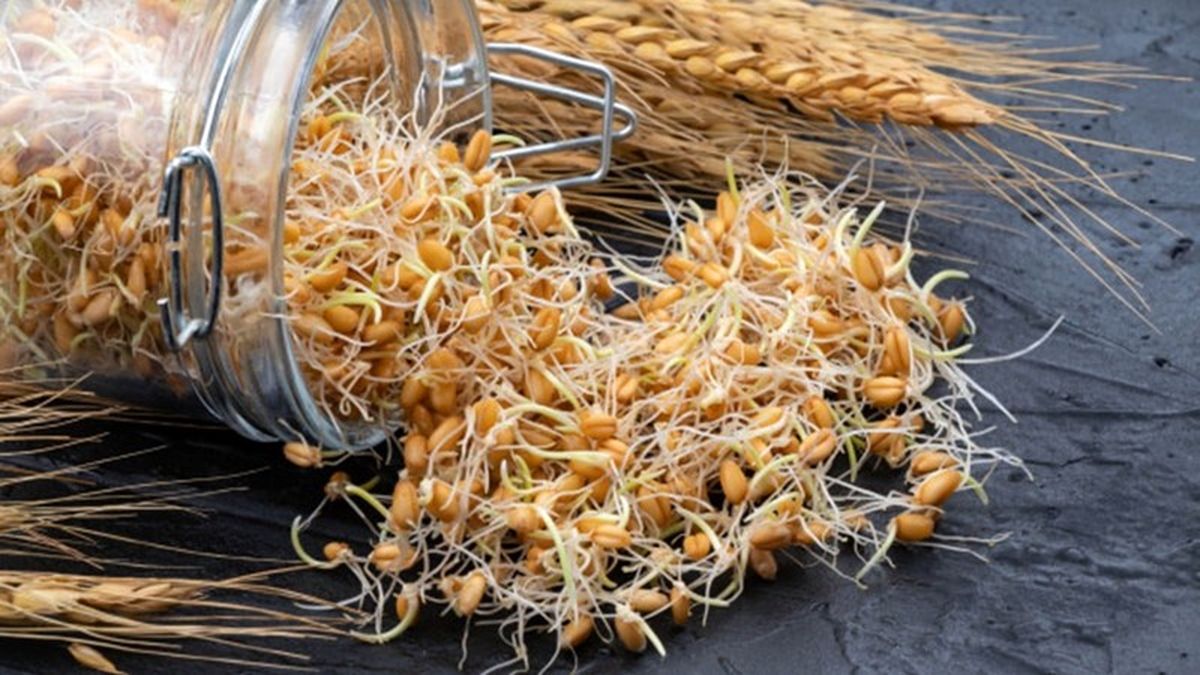 خواص جوانه گندم در جوان سازی پوست