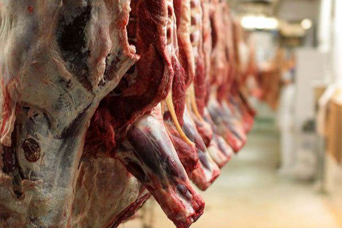 نوسانات دلار بر گرانی گوشت تاثیرگذار است