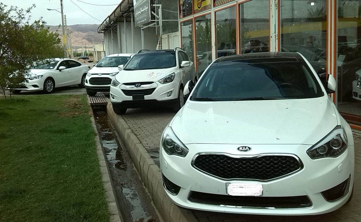واکنش مجلس و دولت نسبت به قاچاق  424 خودرو