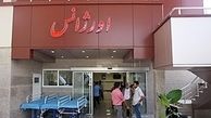 13 نفر در حوادث ترافیکی جان خود را از دست دادند
