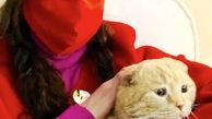 گربه بامزه بهنوش طباطبایی + عکس