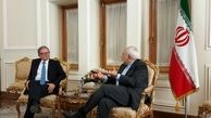 دیدارمعاون اول پارلمان اتریش با ظریف +عکس