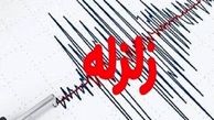 زلزله دهدشت چقدر خسارت داشت ؟