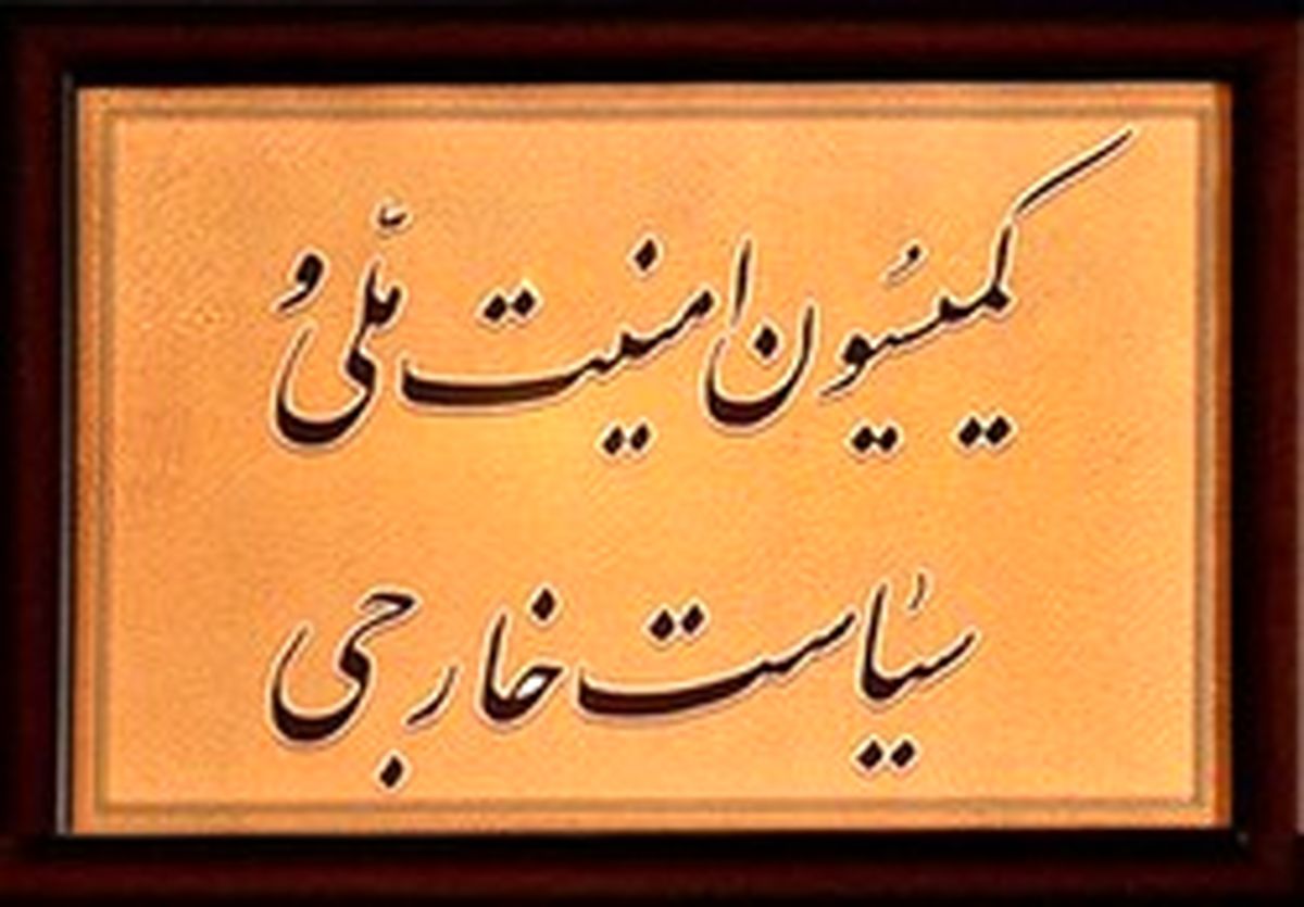 گزارش مسئولان درباره مهارت‌آموزی سربازان به مجلس