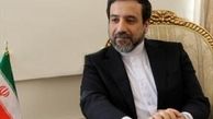دبیرکل سازمان جهانی اینترپل با عراقچی دیدار کرد