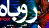 چرا «روباه» ديده نشد؟