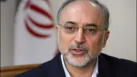 صالحی: ۵+۱ از فرصت تعامل با ایران استفاده کند
