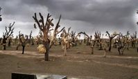 عجیب‌ترین جا‌های دیدنی ایران که احتمالا نمی‌شناسید