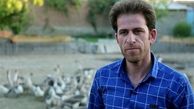 مهندس کامپیوتری که غاز می‌چراند!
