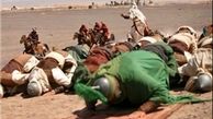 علم روی زمین یعنی سه ساله، کاروان، فریاددلدار است
