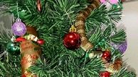 ارمغان درخت کریسمس برای زن استرالیایی! +عکس